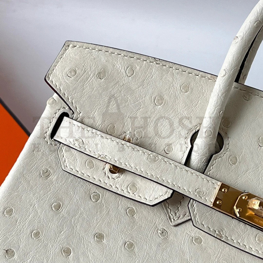 H**me5 Birkin 25 Retourne Handmade Bag In Beton Ostrich Leather Master Quality