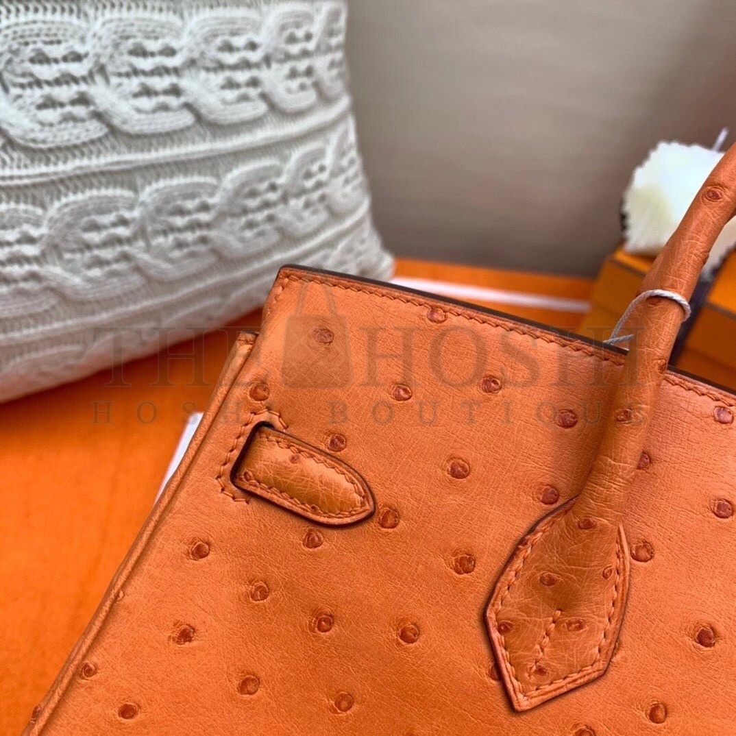 H**me5 Orange Birkin 25cm Ostrich Handmade Bag Master Quality