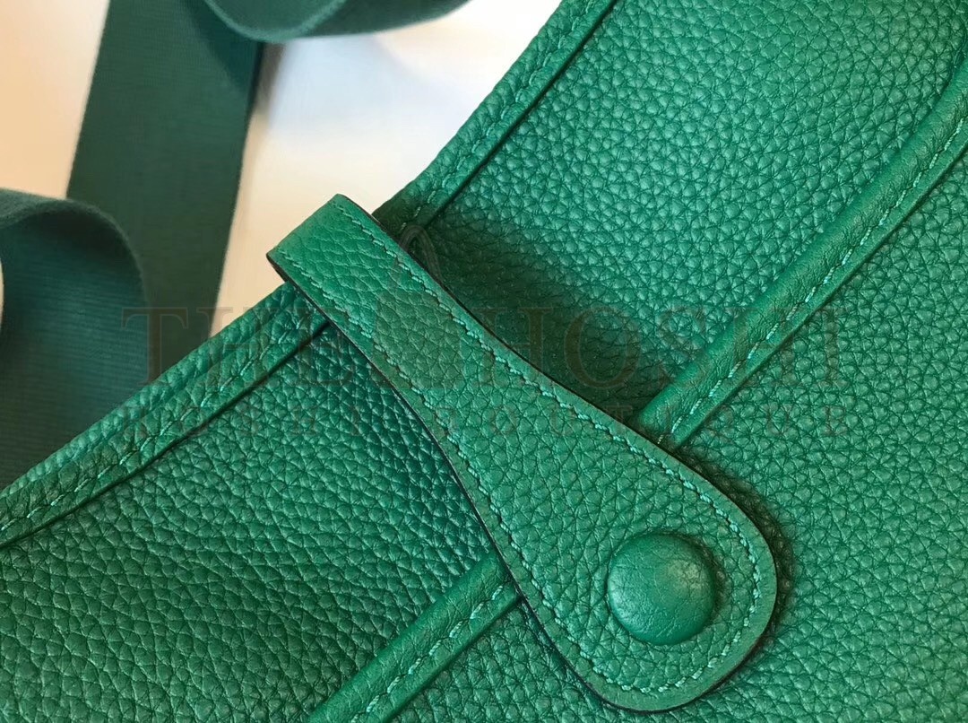 H**me5 Evelyne III 29 Bag In Vert Vertigo Clemence Leather Master Quality
