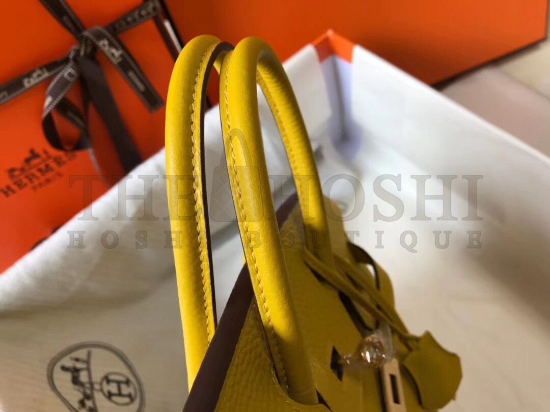 H**me5 Birkin 25cm Bag In Soleil Clemence Leather Master Quality