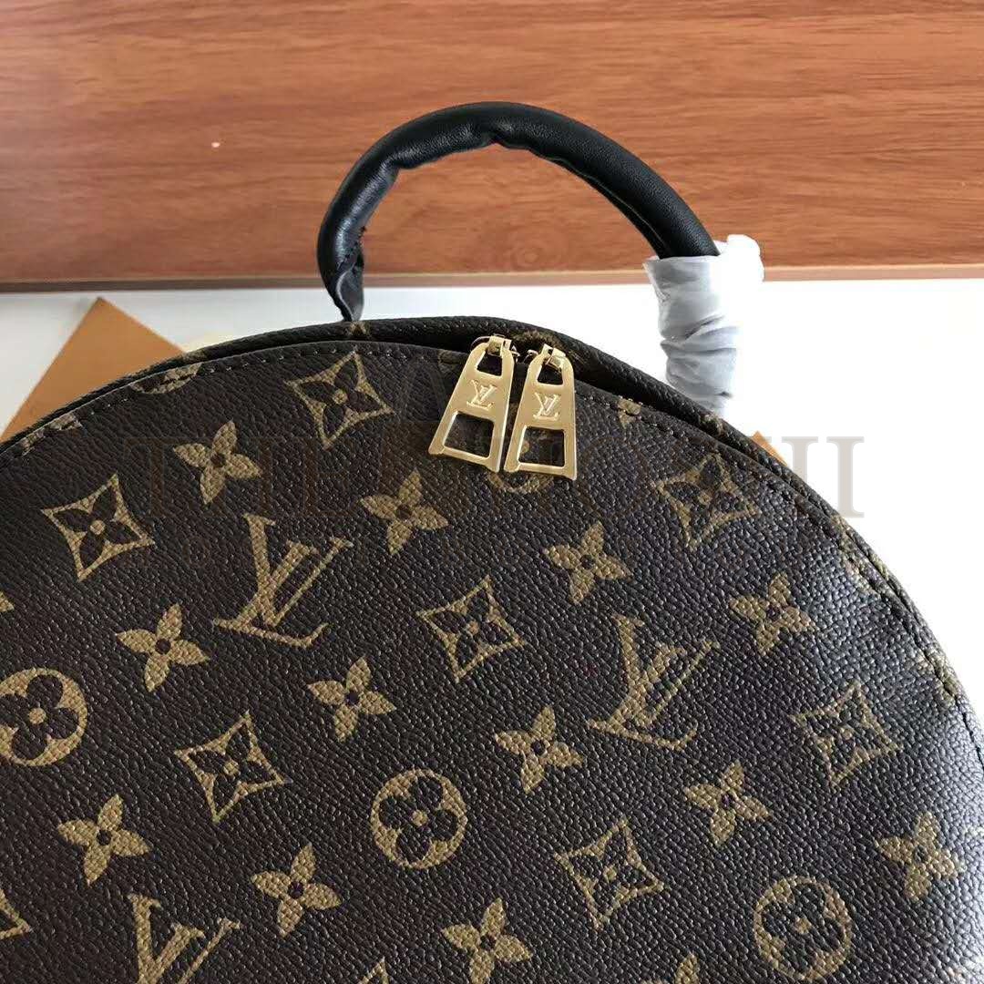 L0vis Vvtt0n LV Unisex Palm Springs MM Backpack in Monogram Coated Canvas-Brown Master Quality